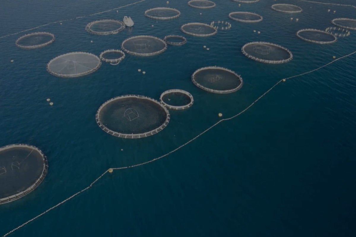 Until the End of the World