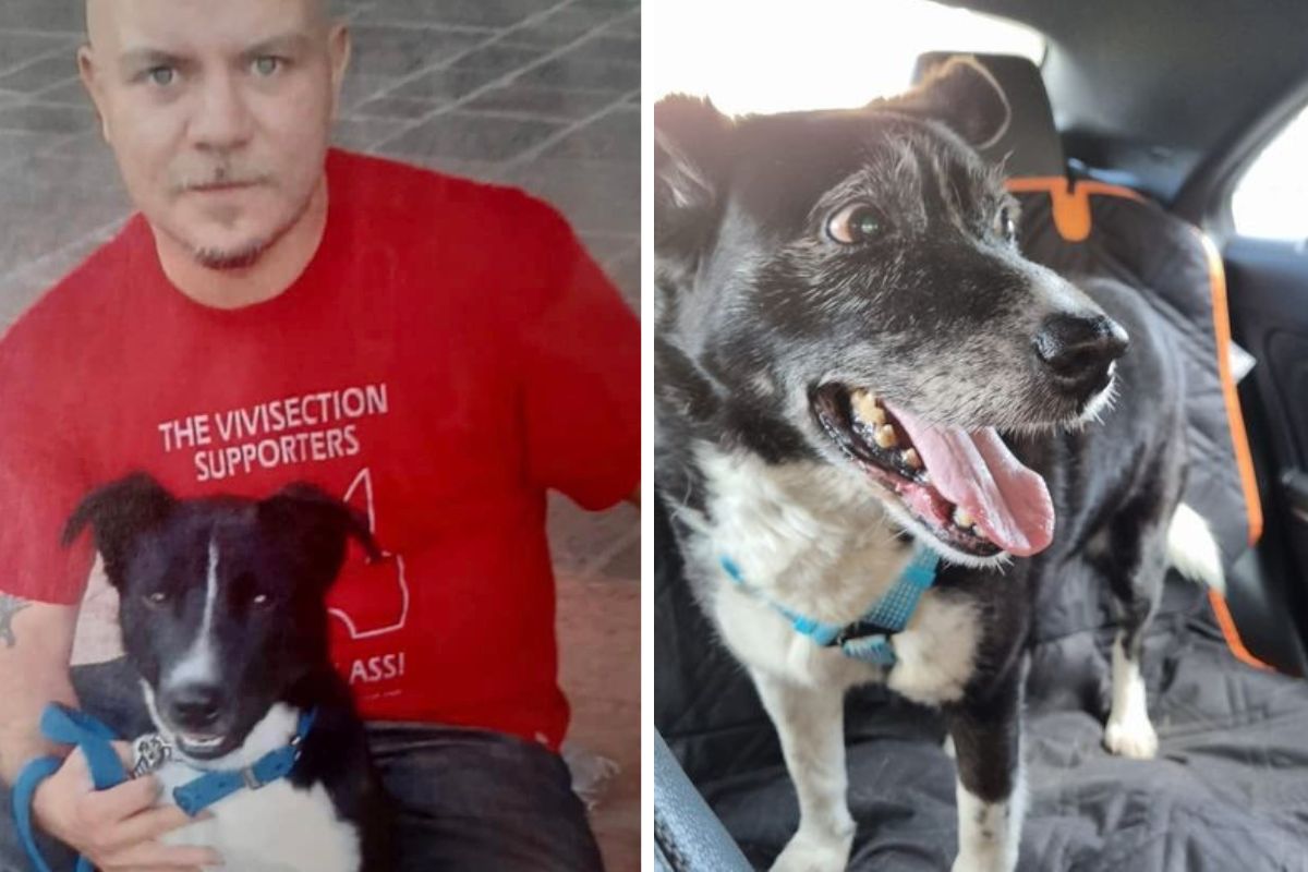 matteo cornacchia willy