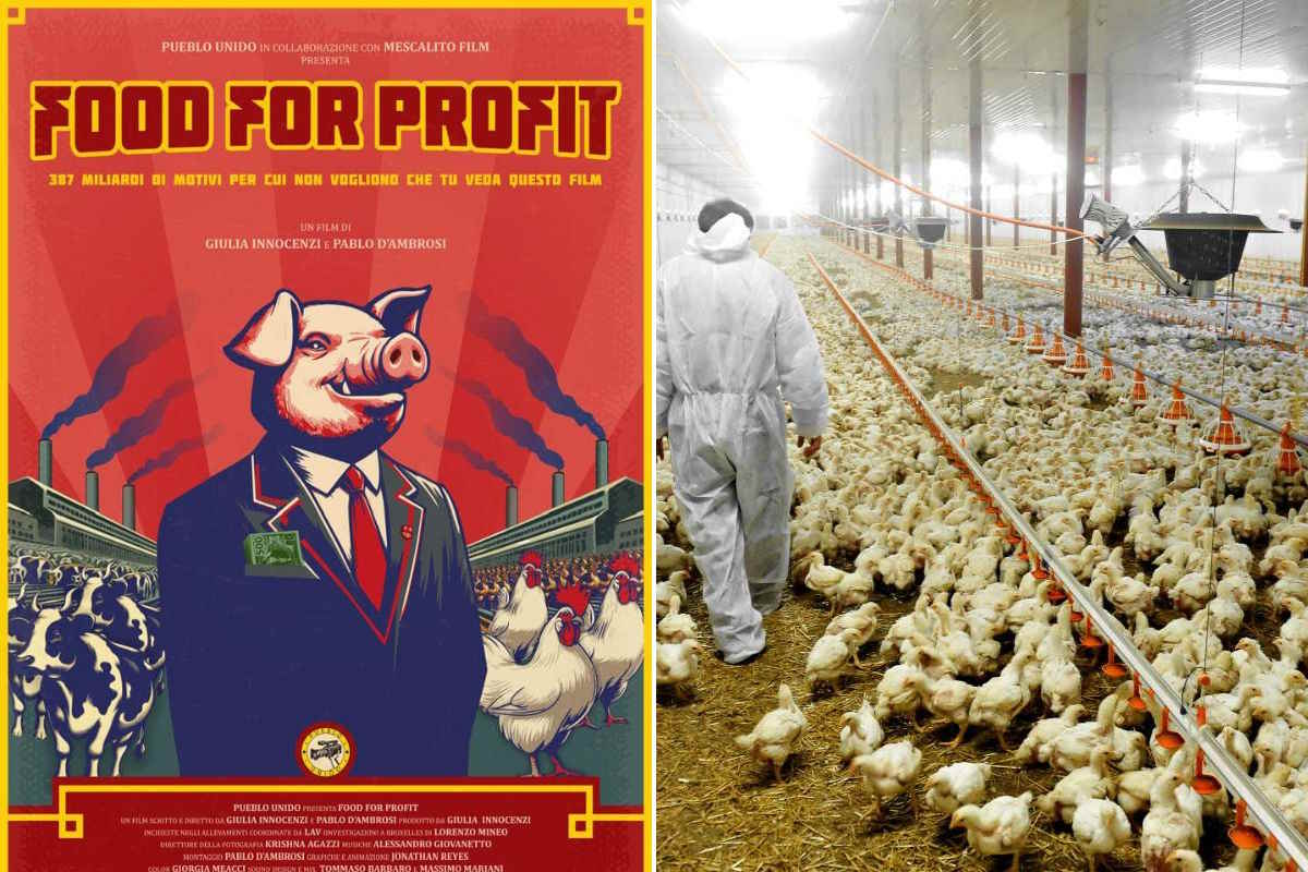 food for profit