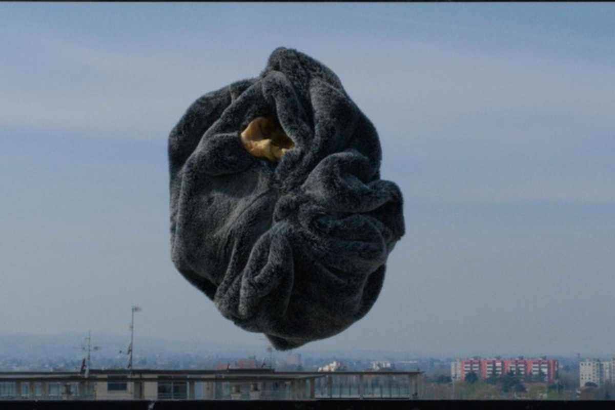 Insurrections du regard