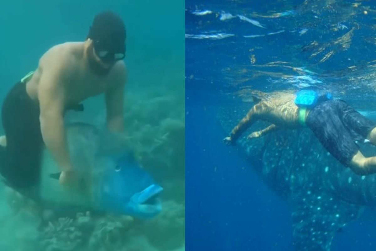 Chevaucher du poisson pour créer du contenu social : la nouvelle tendance absurde