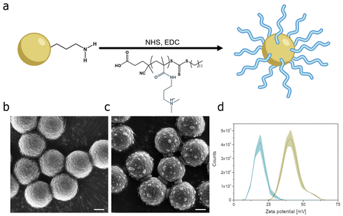 microplastiques magnétiques