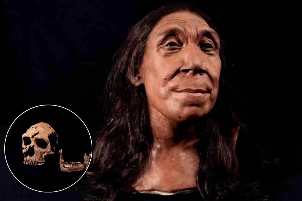 Nom Shachihata 6 Correction Marquer Le Visage D'un Joint