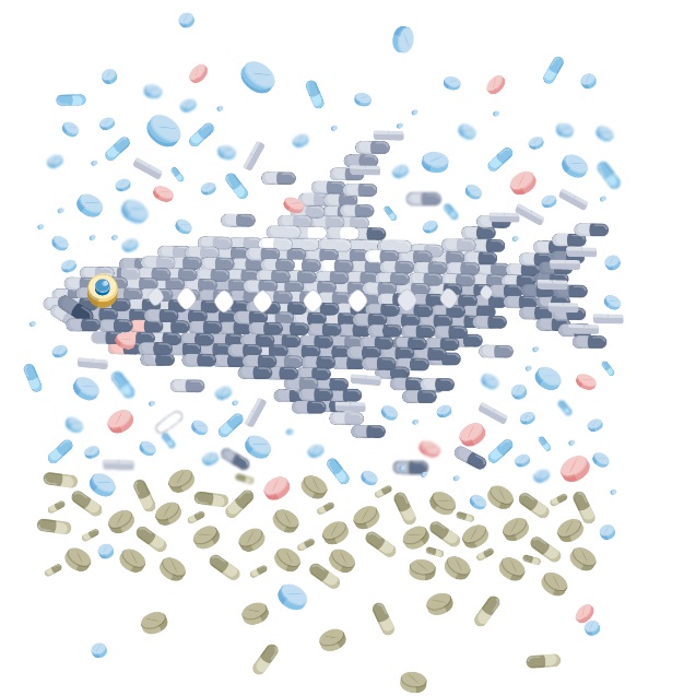 médicaments contre les animaux