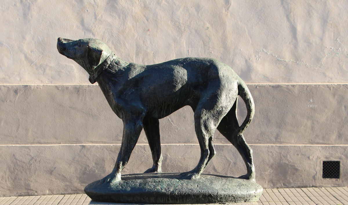 Fido : L'Italien Hachiko qui a attendu 14 ans son propriétaire décédé