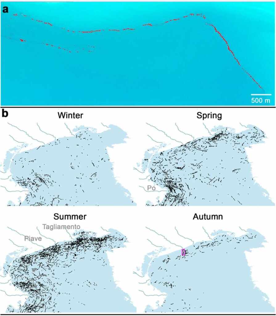 Déchets Mer Méditerranée 2