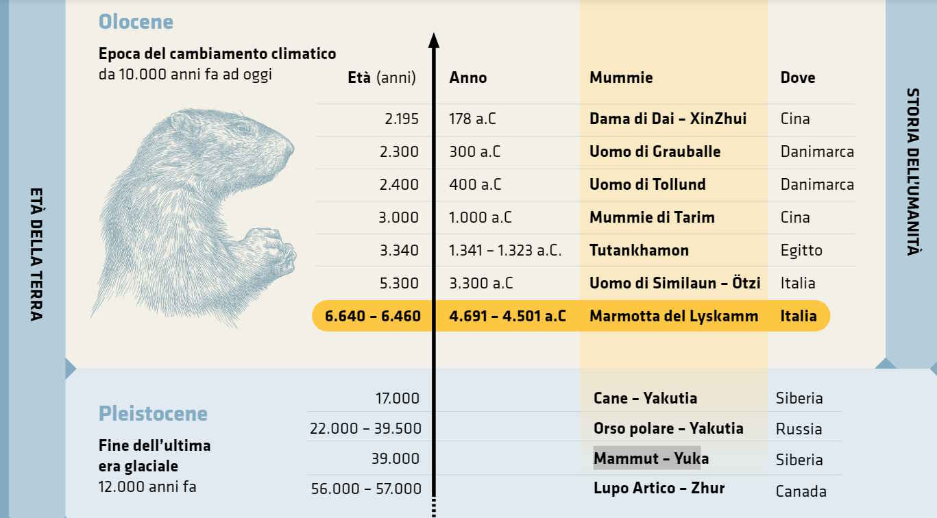 Rencontres maman marmotte