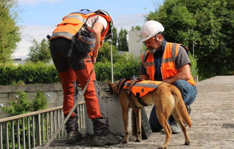 Brillant!  Ces chiens ont été dressés pour détecter les fuites d'eau dans le réseau et ainsi économiser des millions de litres d'eau