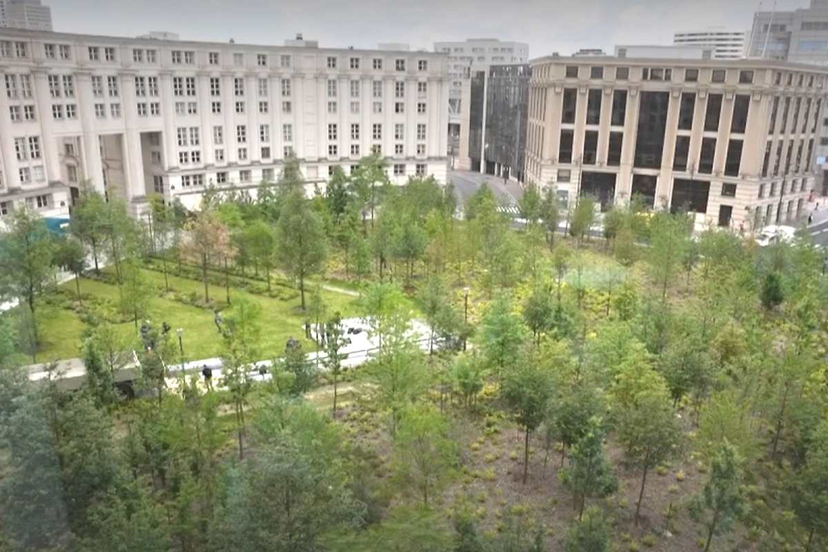 Foresta piazza Parigi