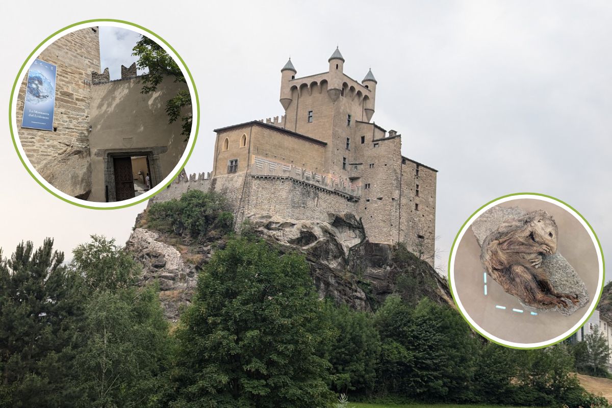 castello mummia val d