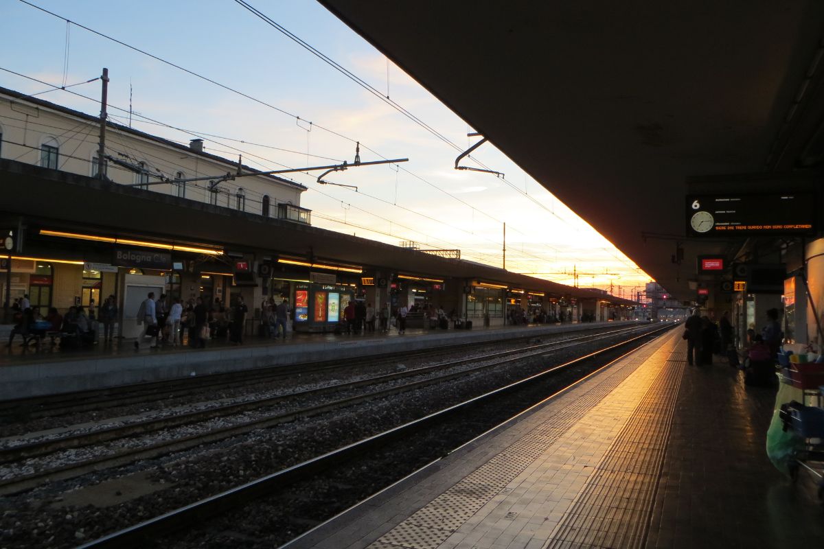 pitbull ritrovato treno regionale bologna centrale