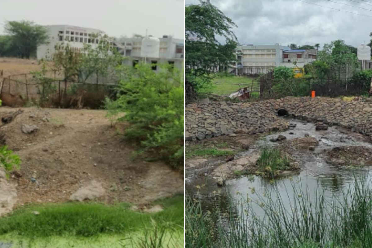 Lenticchia inquinamento