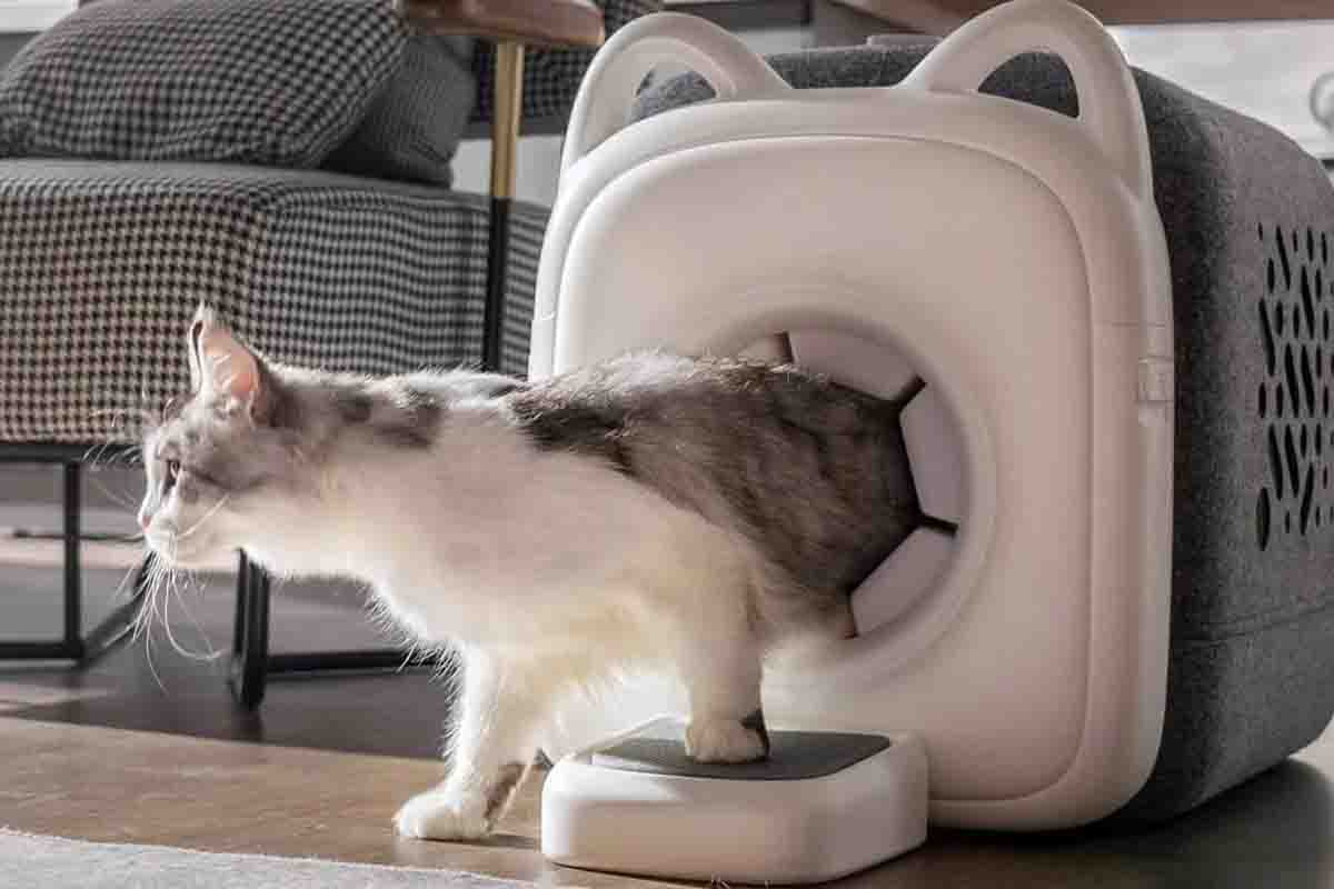 PawSwing cuccia da toelettatura