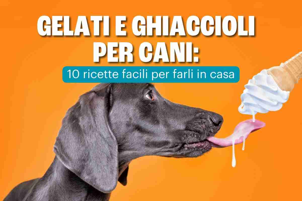 gelati per cani