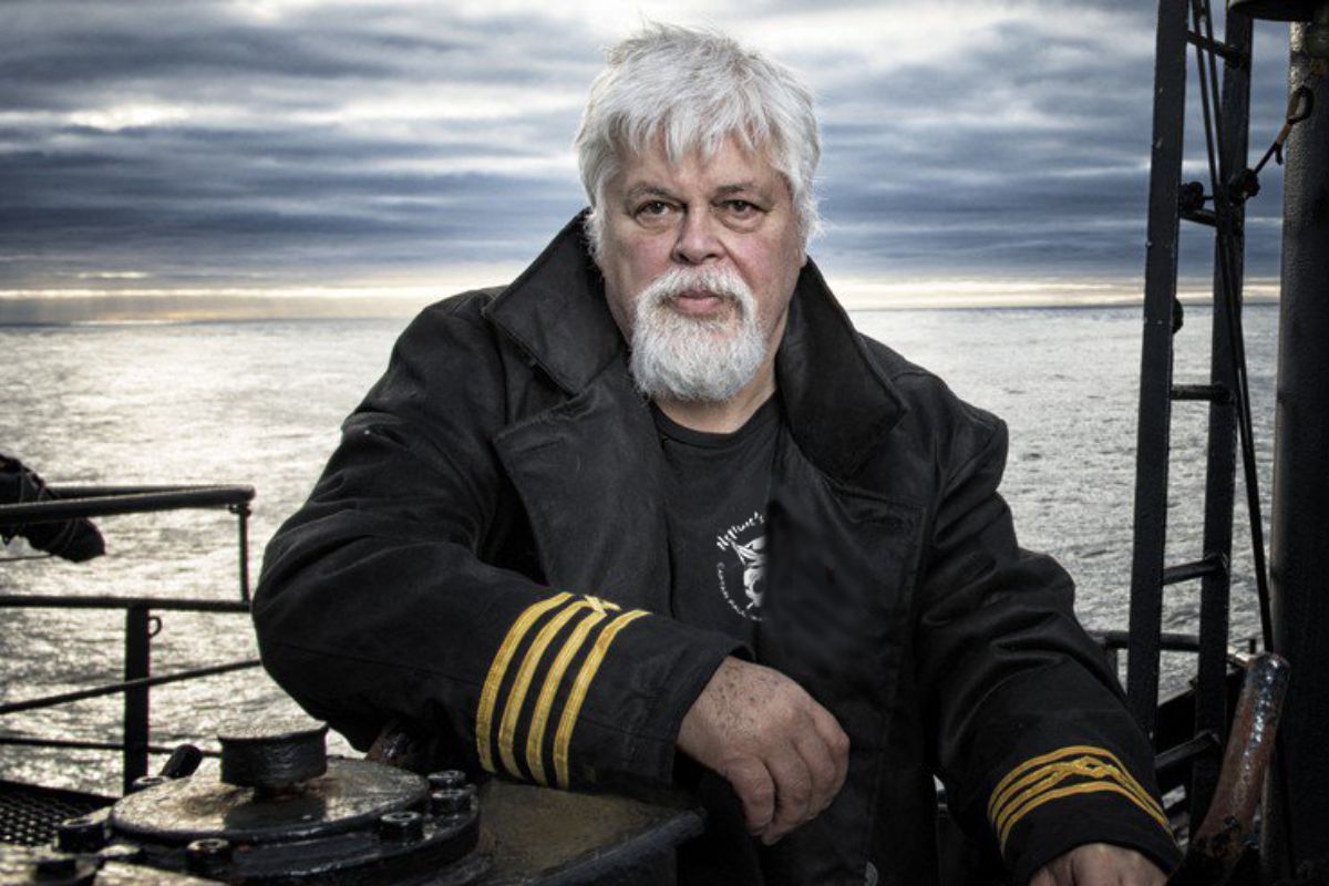 Paul_Watson