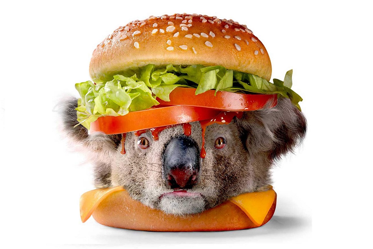 « McDonald's, il y a un nouveau sandwich : le Koala Burger » : le burger qui fait penser à la déforestation