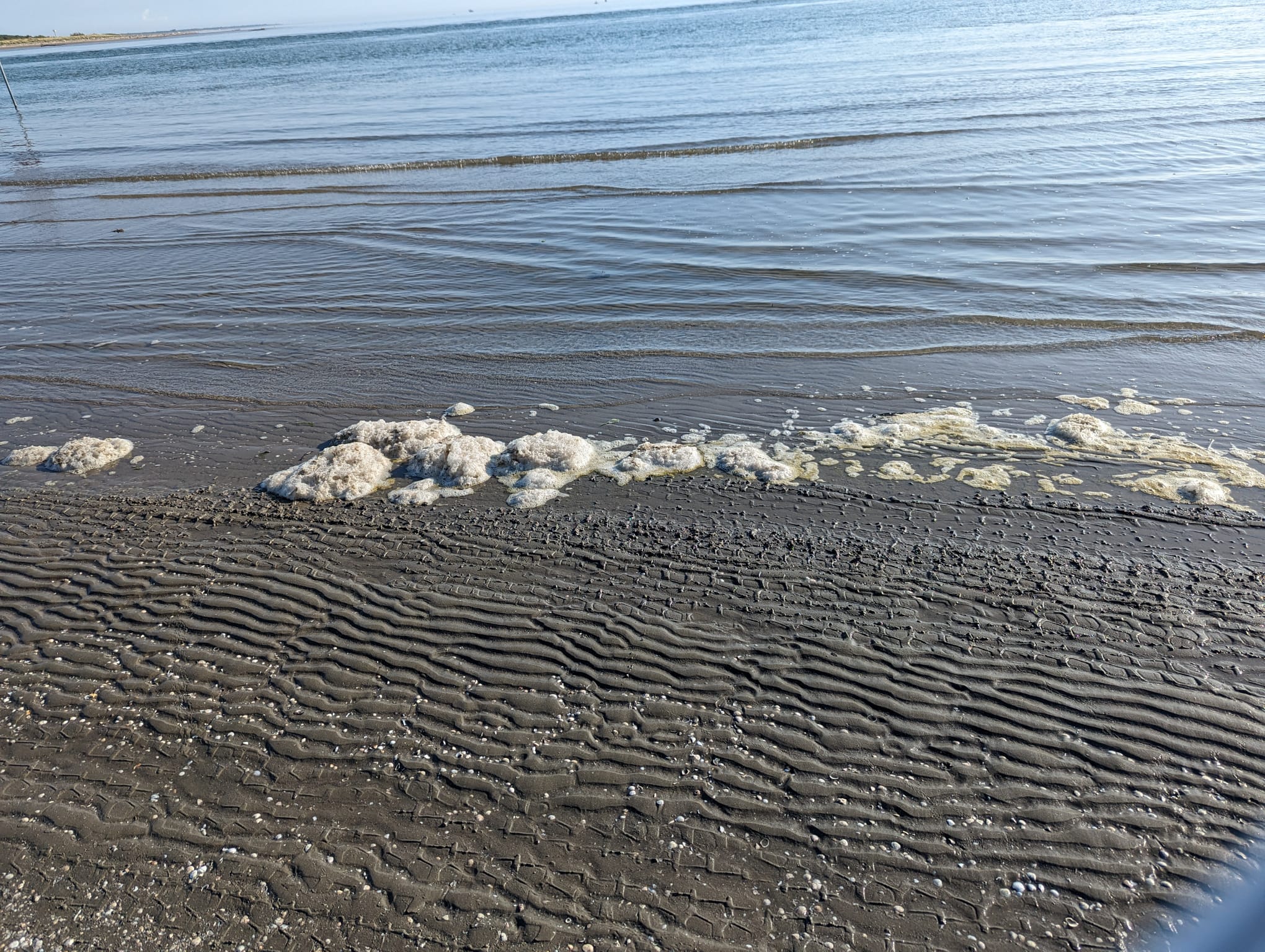 Schiuma bianca Costa d