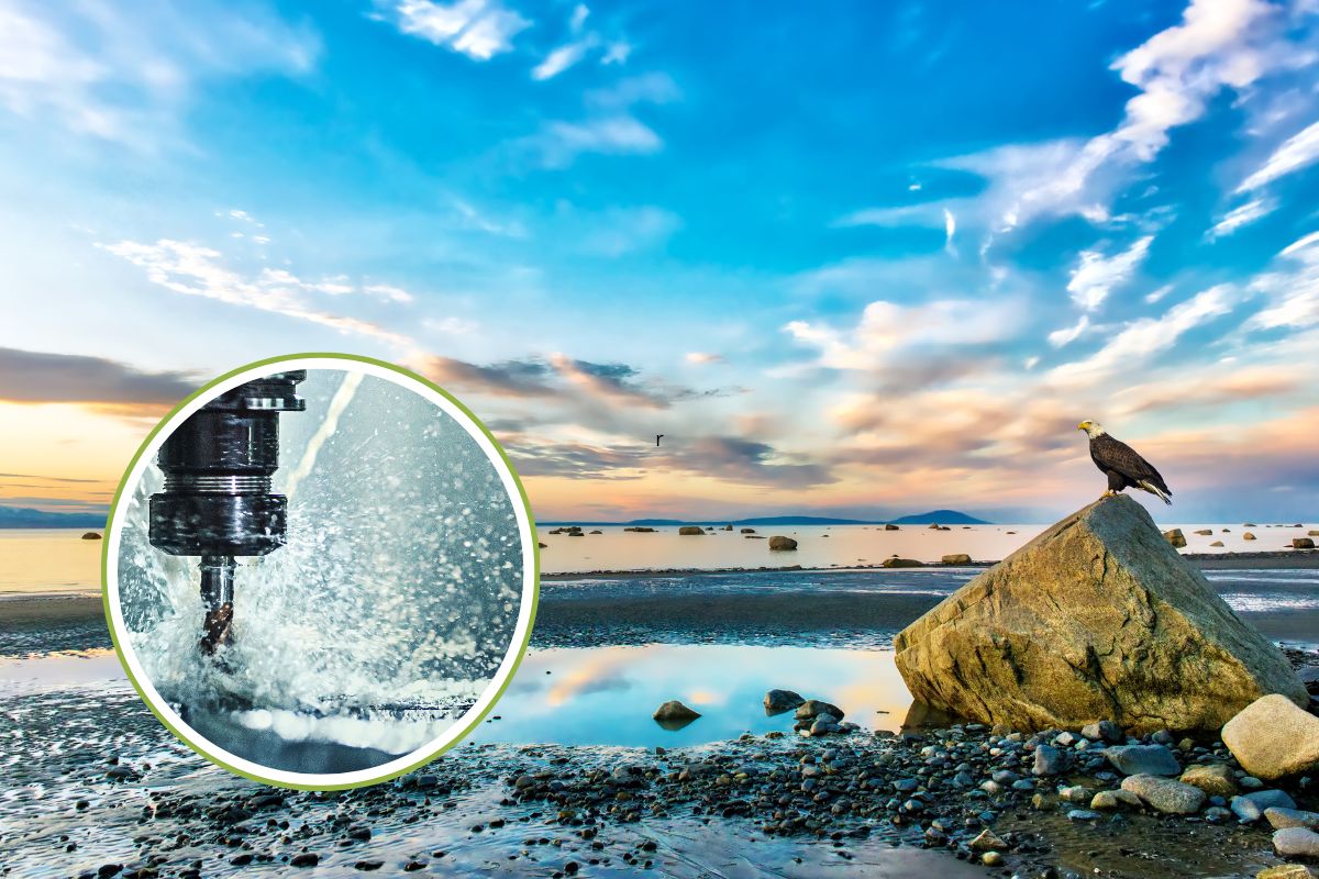 Stop_trivellazioni_Alaska