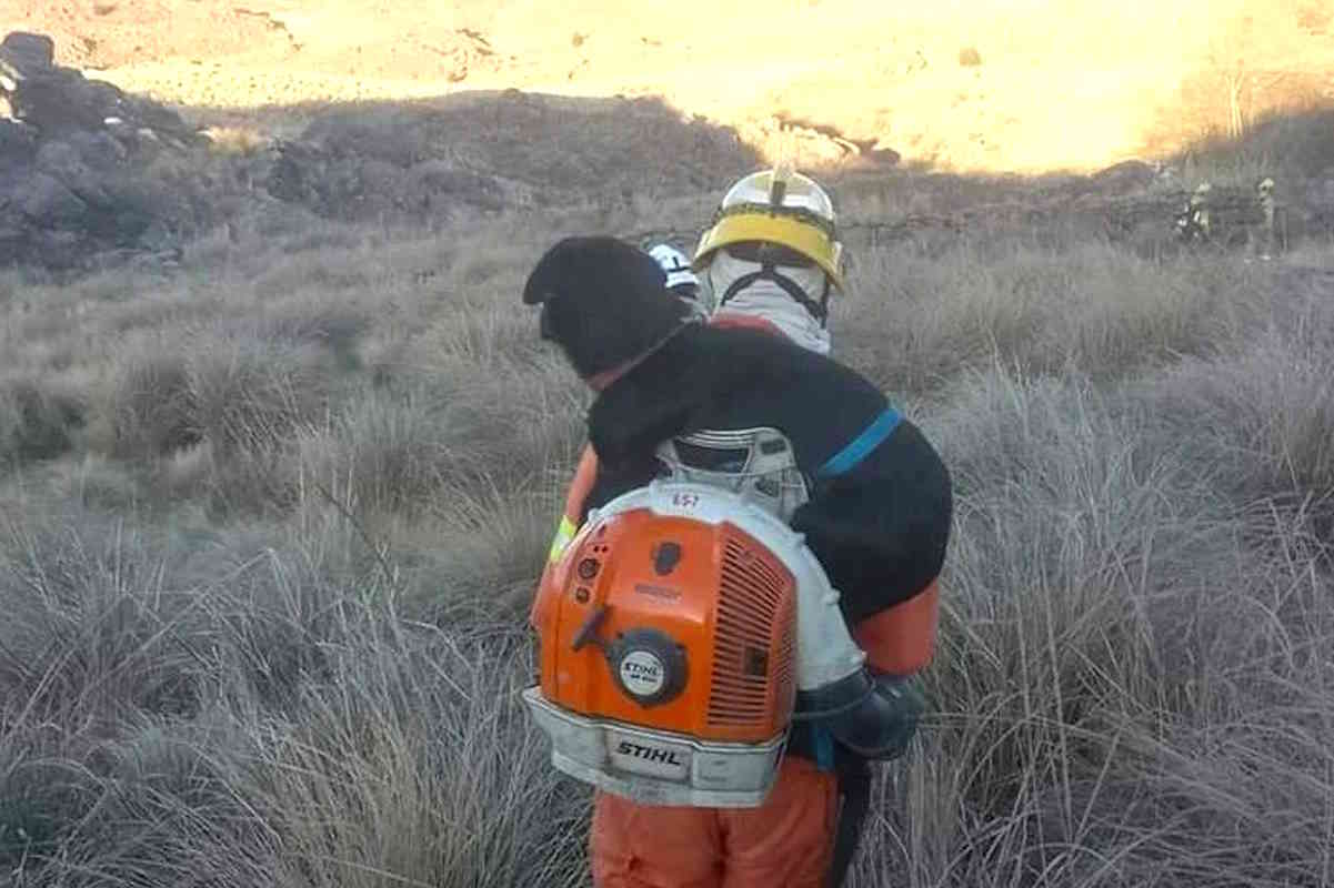 cane soccorso incendio