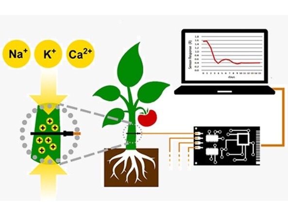 tomates_water_sensor