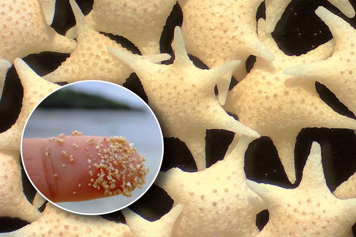 Sabbia a forma di stella Giappone