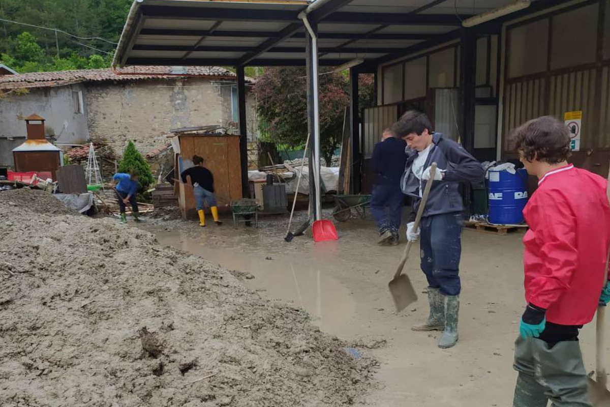 fridays for future alluvione