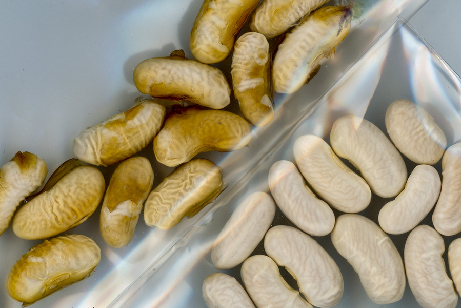 protéger les graines