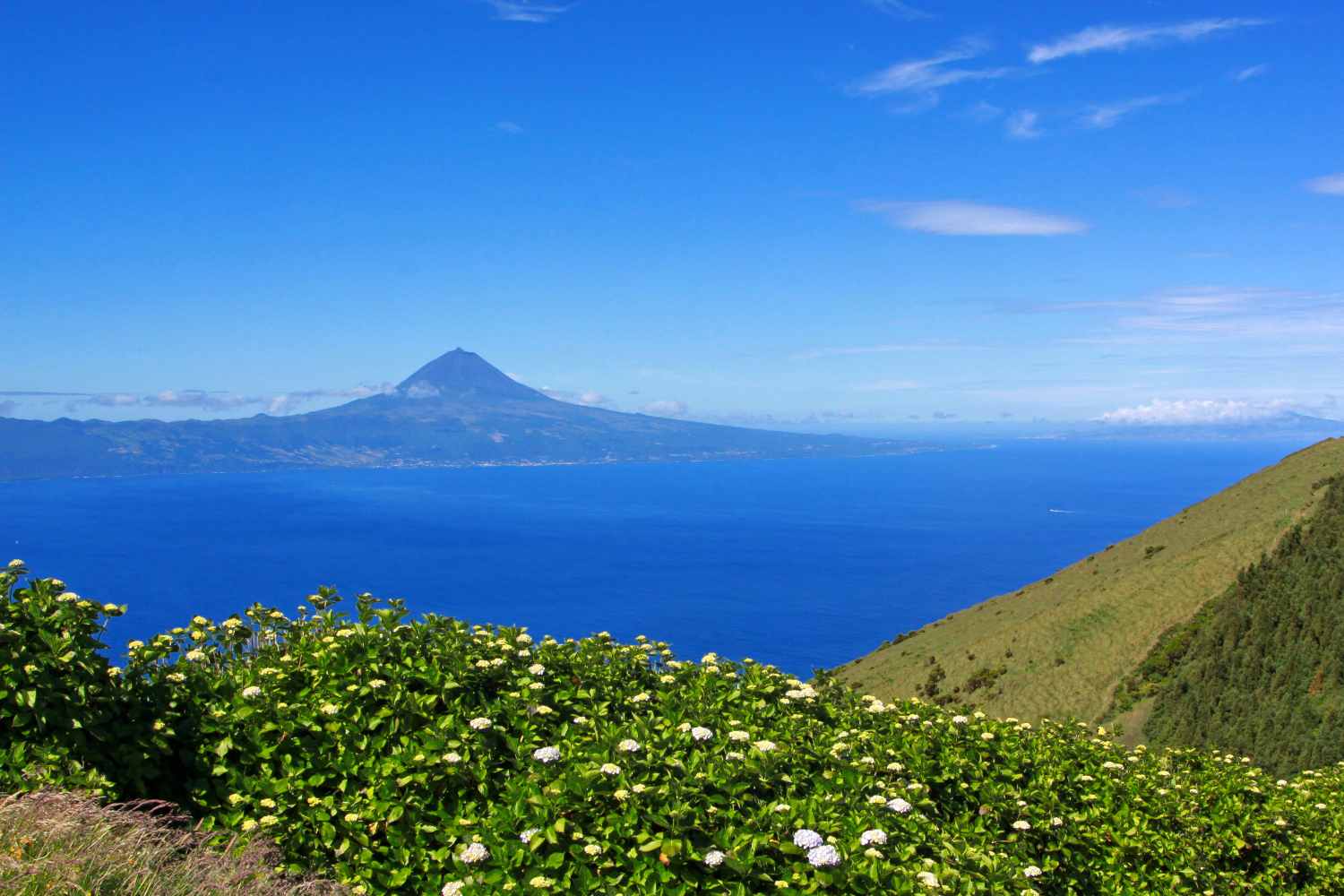 Azzorre area marina protetta