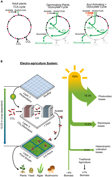 électro-agriculture