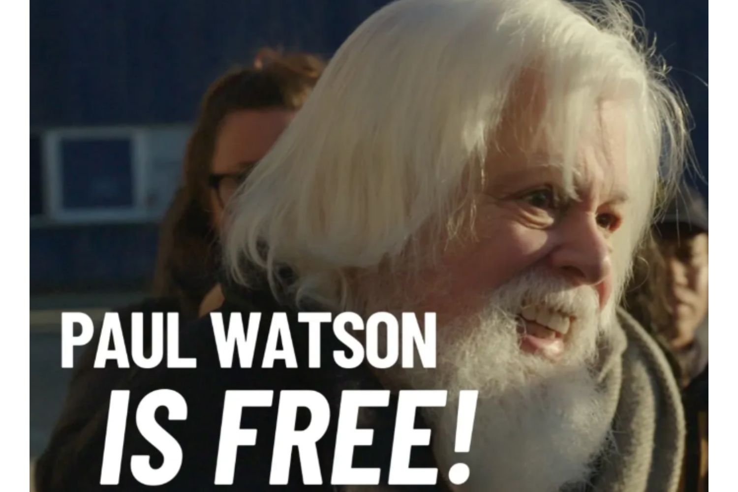 Paul Watson est libre ! Le Danemark refuse l'extradition d'un défenseur des baleines vers le Japon