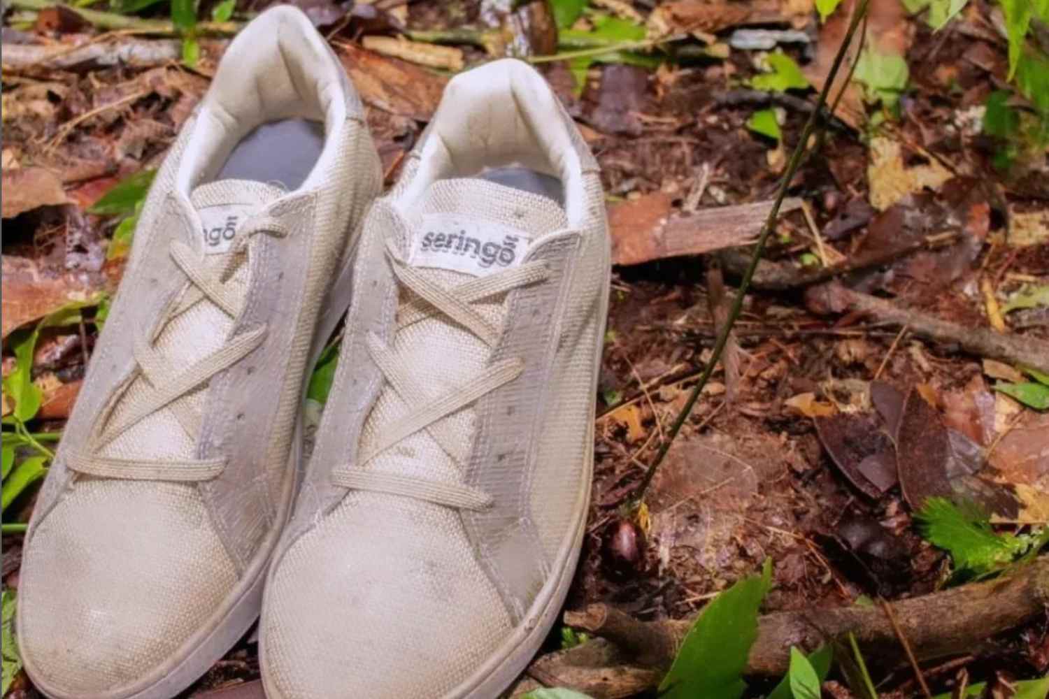 Seringo scarpe