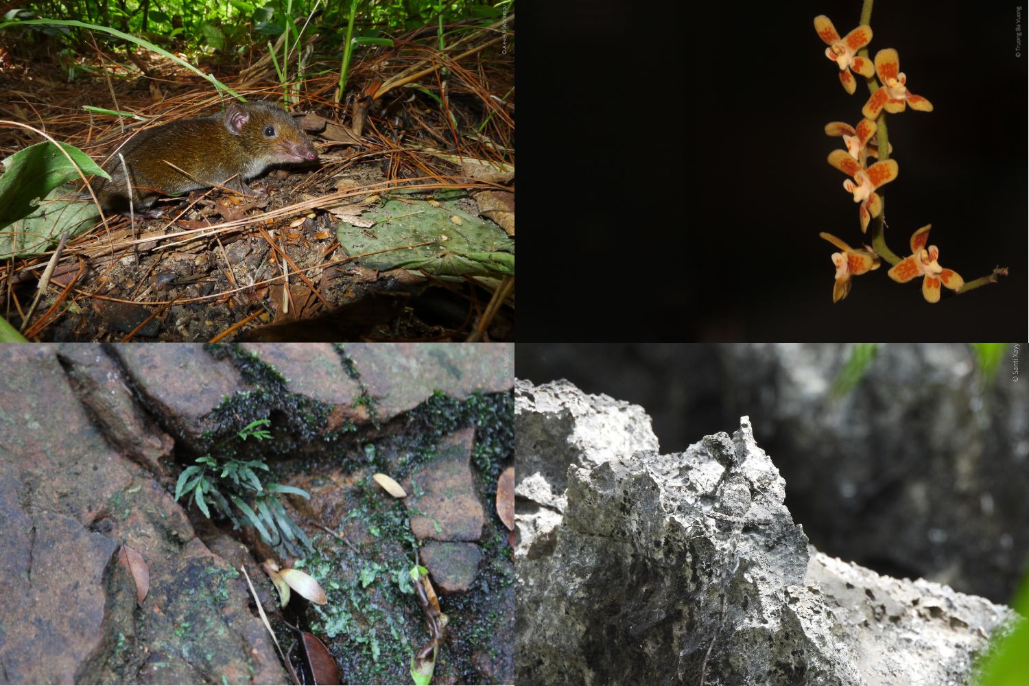 Biodiversità_Mekong