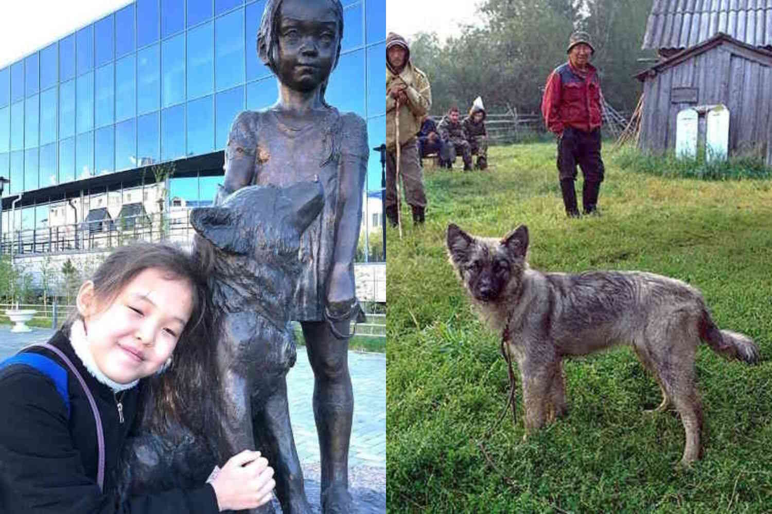 L'incroyable histoire de la petite fille de 4 ans "Mowgli" qui a survécu des jours dans la forêt sibérienne grâce à son chien