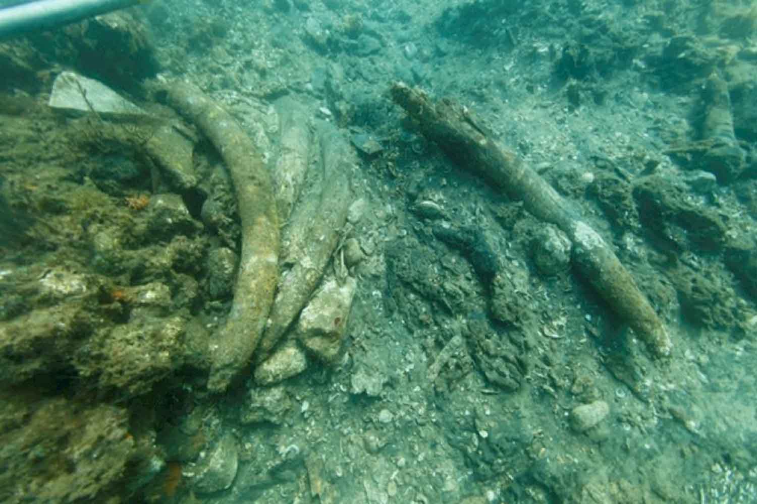 galeone di Vasco da Gama