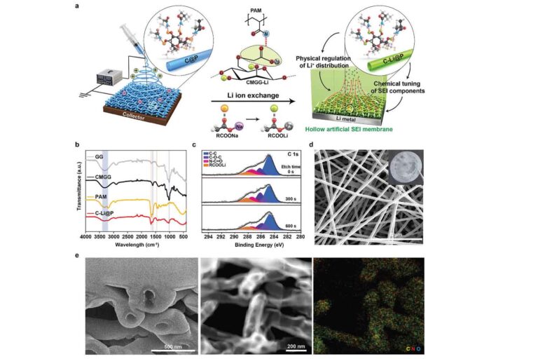 « Ajoutez simplement de l'eau » : des chercheurs prolongent la durée de vie des batteries au lithium métal de 750 %