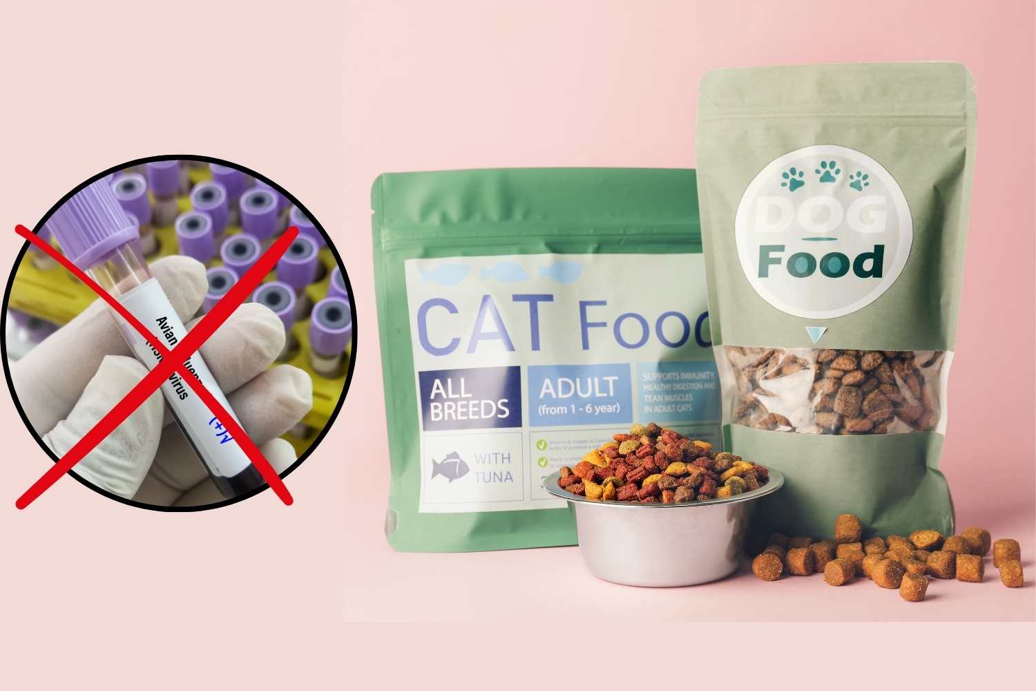 cibo animali influenza aviaria