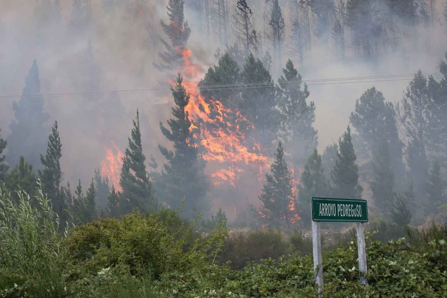 incendi patagonia
