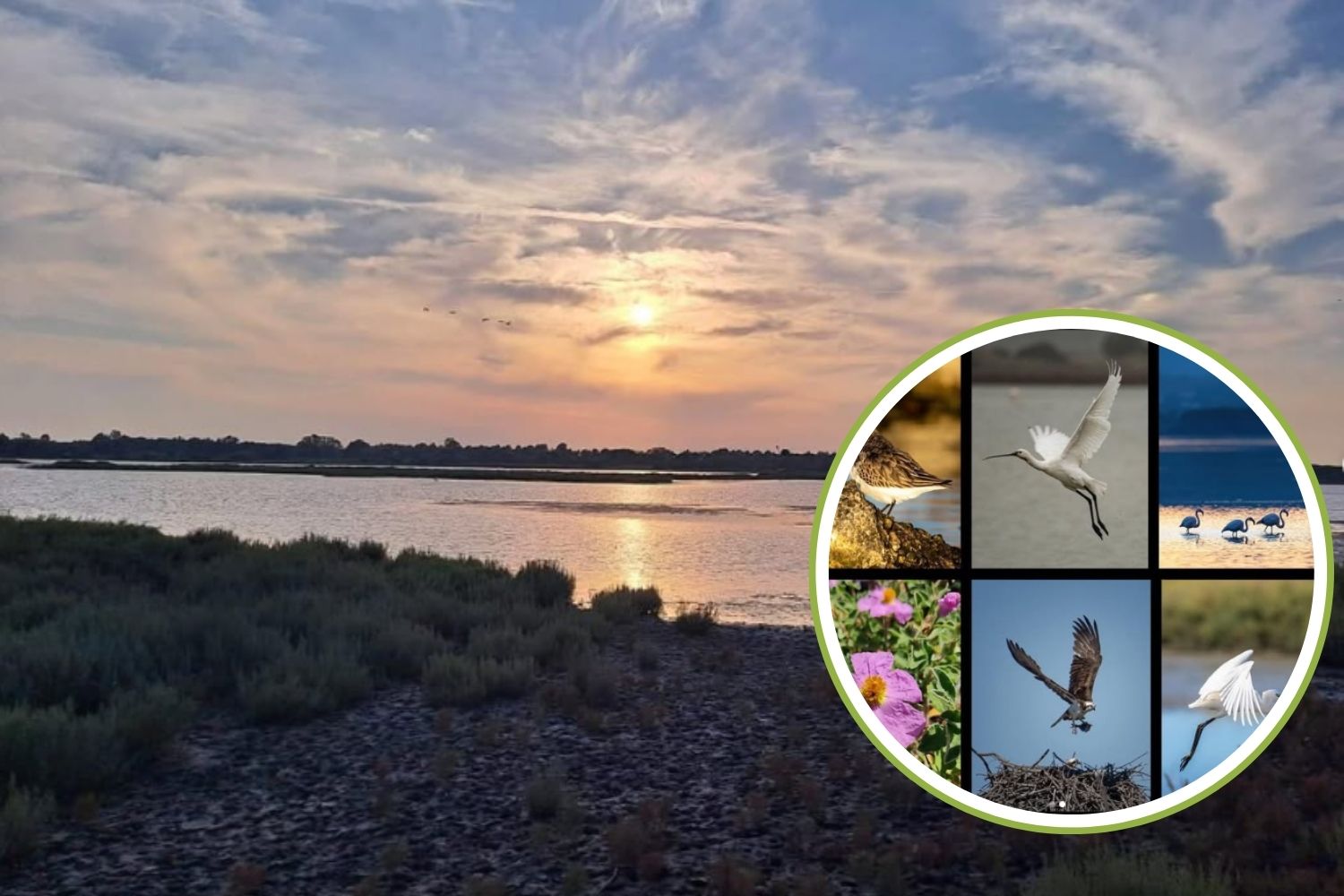 Oasi_laguna_Orbetello