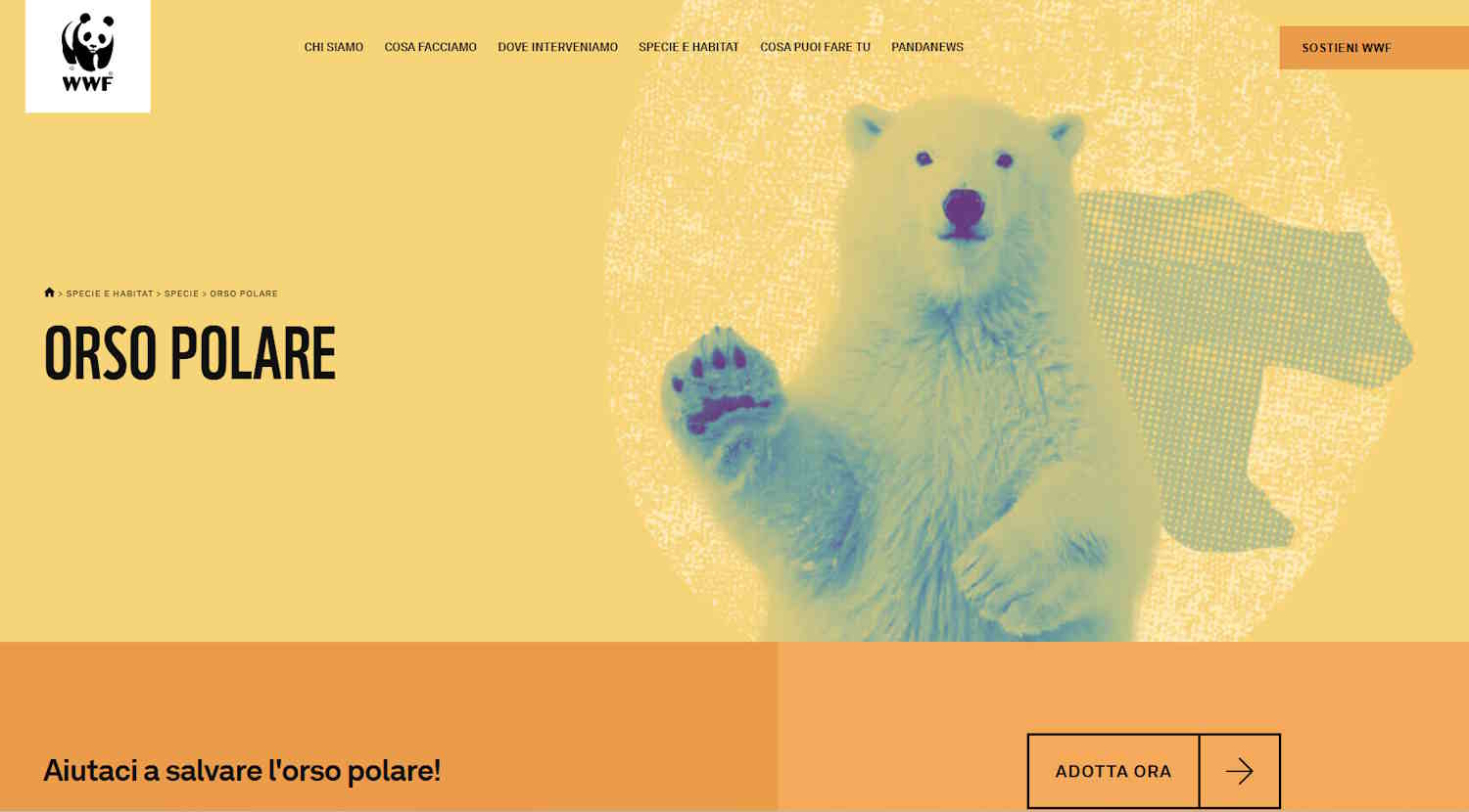 Ours polaires du WWF