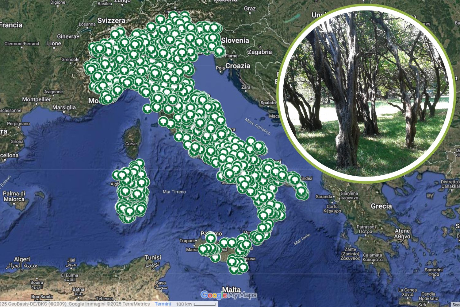 Mappa_alberi_monumentali_Italia