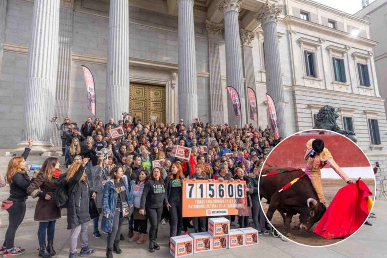 Corrida au revoir? Le Parlement espagnol contraint de décider après 715 mille signatures