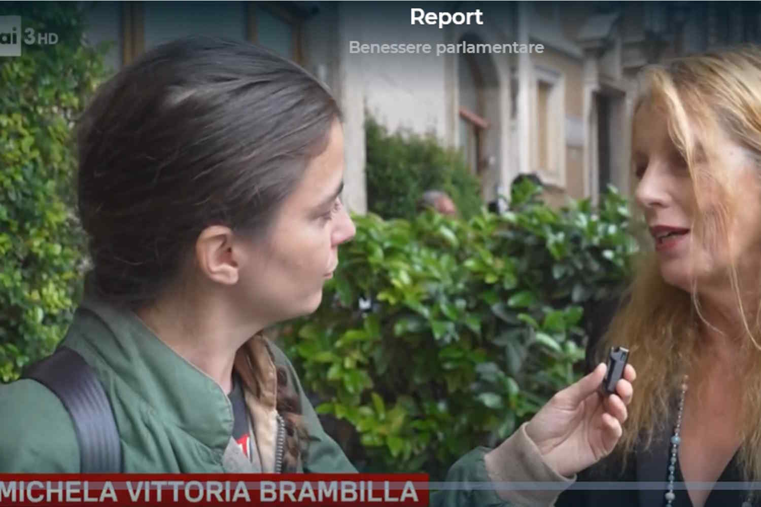 brambilla innocenzi report