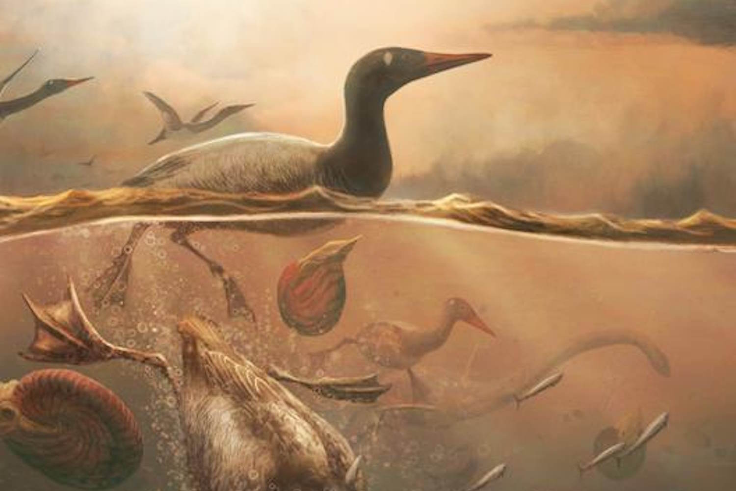 fossile cranio uccello ritrovamento antartide