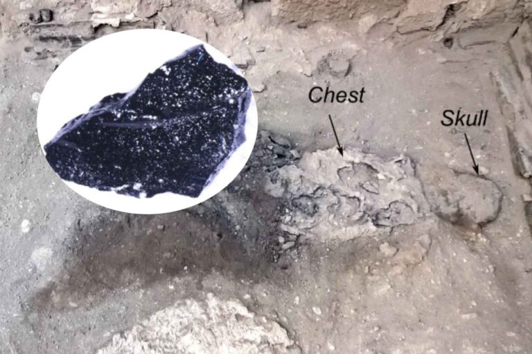 Surprenant! Regardez le cerveau d'un homme transformé en verre par le nuage de cendres bouillonnantes du Vésuve