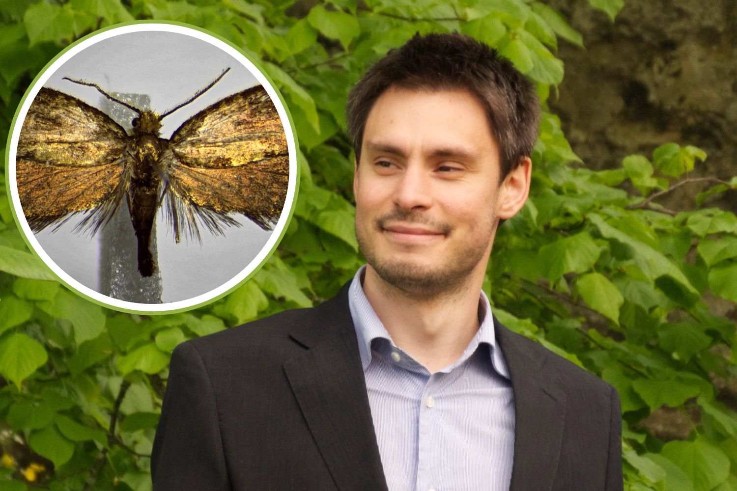 Farfalla Giulio Regeni