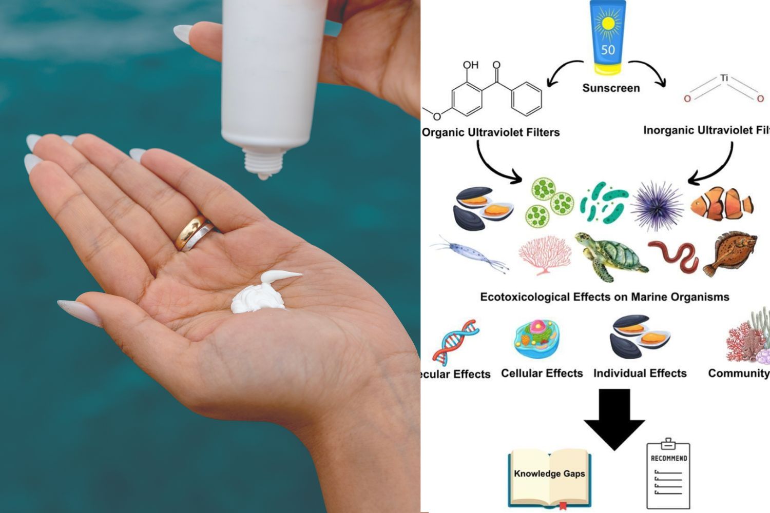 crema solare inquinamento