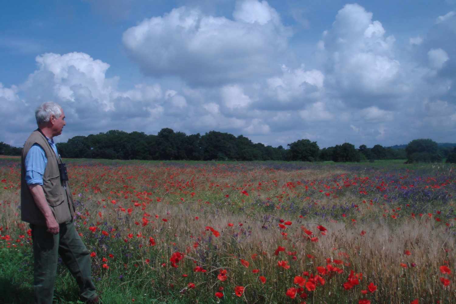 Fulco Pratesi WWF Italia