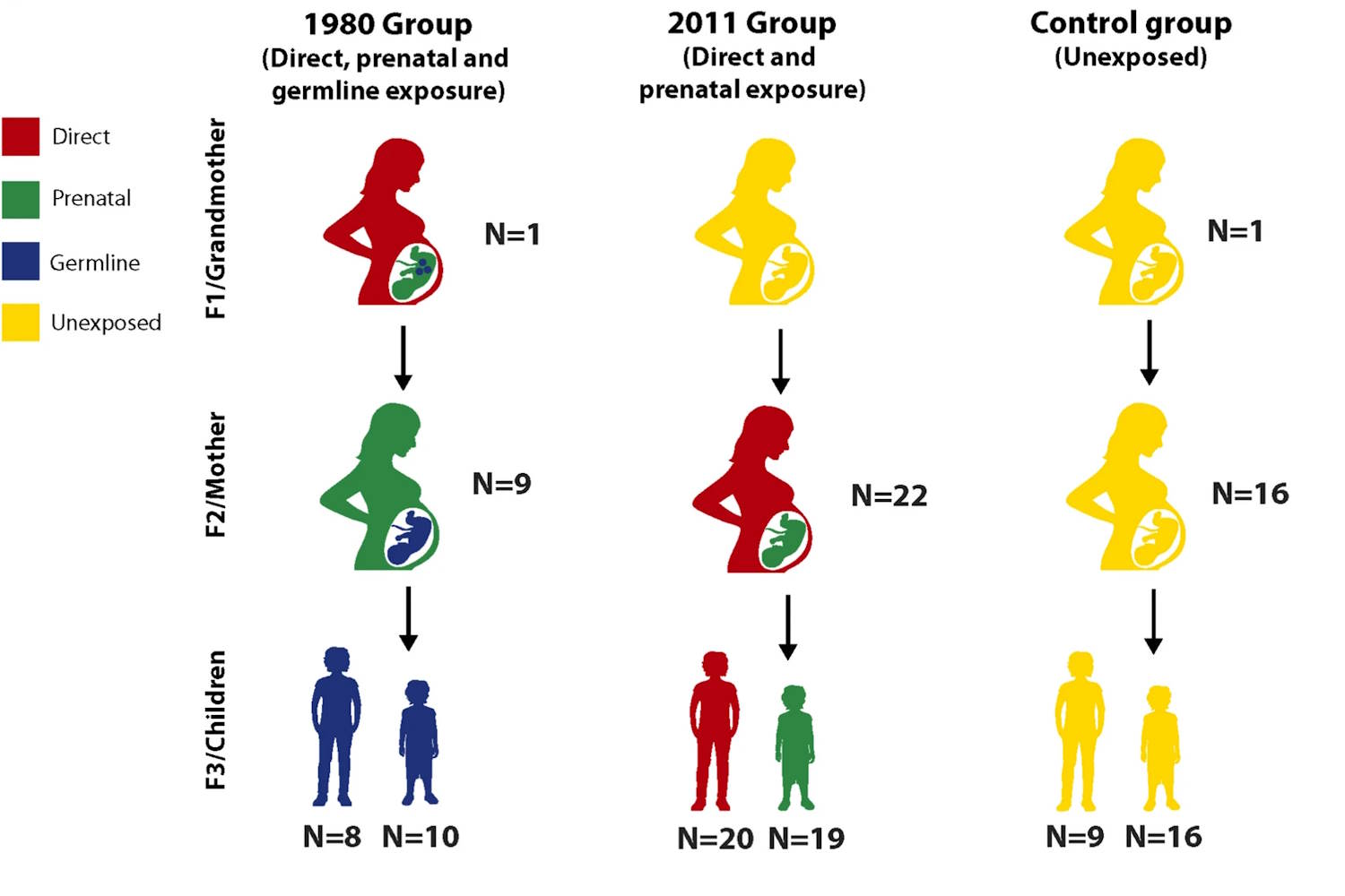 Signes de transmission de l'ADN de violence
