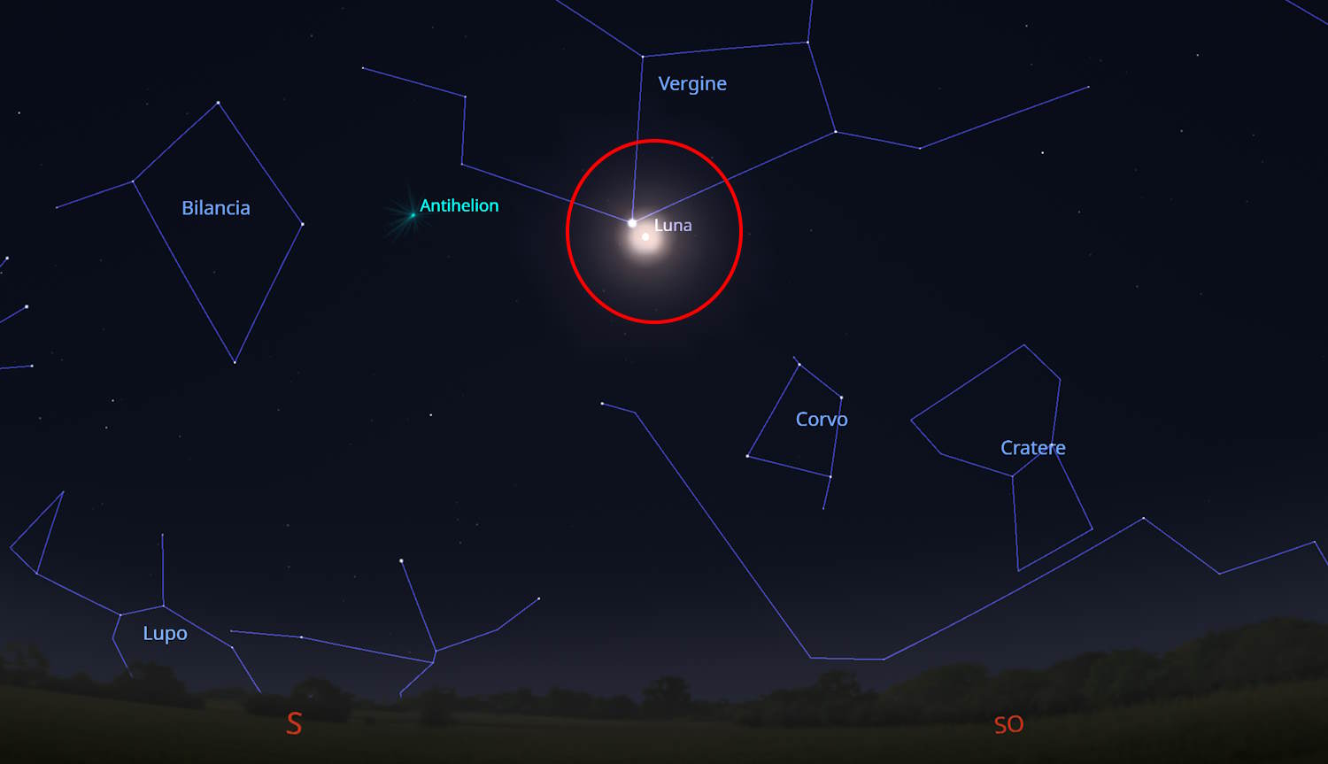 Rosa Microluna 12 avril 2025