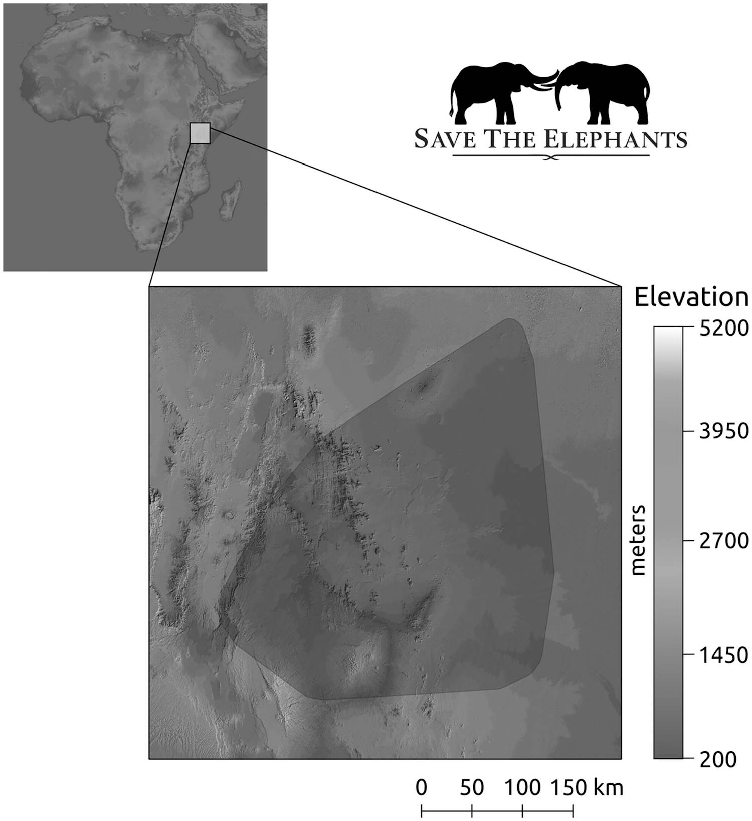 Les éléphants voyagent à l'économie d'énergie